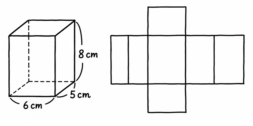 Rectangular prism 6 cm × 5 cm × 8 cm